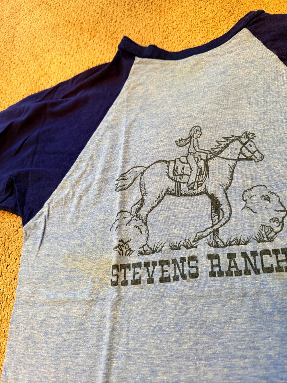 Vintage Stevens Ranch Raglan Tee - Light Blue & Navy - Picture 5 of 5